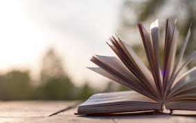 СГК помогла благоустроить библиотеку под открытым небом в Кемерове