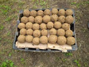 Примтеплоэнерго улучшает качество природной воды в Нежданкинском водохранилище