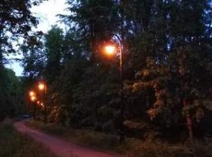 «Ленсвет» восстановило освещение на Нижней дороге в Петергофе