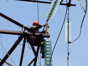 «Нефтеюганские электрические сети» установят на ЛЭП более 1600 птицезащитных устройств