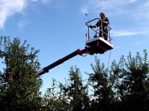 «Краснодарские электросети» демонтировали незаконный подвес ВОЛС на 360 опорах ЛЭП