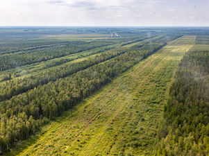 «Транснефть – Сибирь» уложила дюкер на подводном переходе нефтепровода через старицу реки Тарсап в ХМАО-Югре