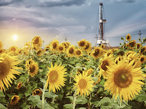 «Газпром нефть» открыла на западе Оренбуржья новое месторождение