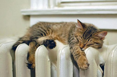 «ЭнергосбыТ Плюс» сформировал «Топ лидеров и аутсайдеров управляющих организаций» по подготовке к ОЗП