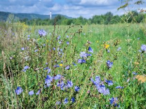 ЕВРАЗ рекультивировал земельные участки на Абагурской обогатительной фабрике
