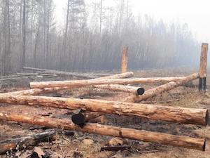 В Якутии восстанавливают поврежденную лесным пожаром ЛЭП «Чурапча – Хандыга»