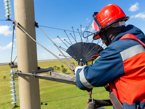 «Читаэнерго» в 2021 году установит на ЛЭП около трёх тысяч птицезащитных устройств