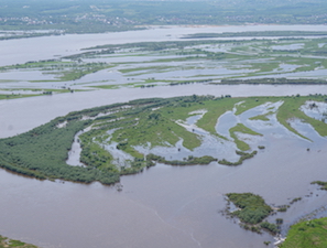 «Транснефть – Дальний Восток» обеспечивает устойчивую работу нефтепроводов в условиях паводка в Приамурье