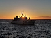 Экспедиция «Роснефти» исследует краснокнижных животных Арктики