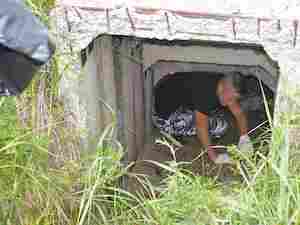 Сотрудники Сахалинэнерго очистили от мусора морское побережье около села Стародубское