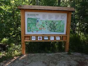 «Горэлектросеть» осветила экотропу в Нижневартовске