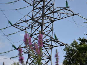 «Адыгейские электрические сети» отремонтировали более 1 000 км ЛЭП