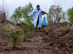 Волонтёры СИБУРа высадят саженцы в Свободном