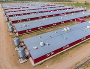 «Орелэнерго» обеспечивает энергоснабжение крупных агропромышленных предприятий