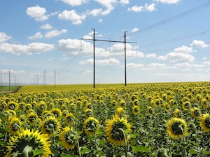 «Россети» заменили изоляторы на ЛЭП 220 кВ «Ириклинская ГРЭС – Киембай»