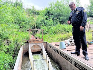 Угольный разрез «Шестаки» выпустил более 10 тысяч мальков нельмы в реку Томь