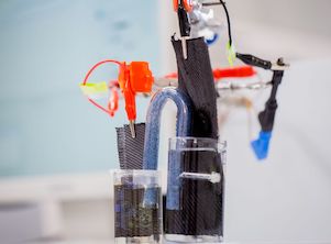 В Курчатовском институте разработали безмембранный микробный фототопливный элемент