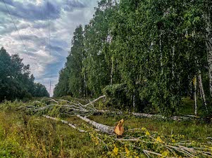 Бригады «РЭС» восстанавливают электроснабжение в Новосибирской области после сильной грозы