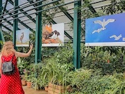 При поддержке «Роснефти» в Москве открылась фотовыставка «Полет надо льдами»