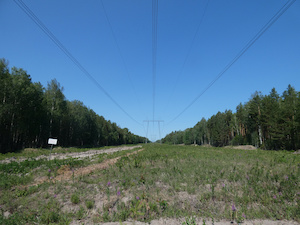 МЭС Урала расчистили трассы 10 магистральных ЛЭП в Тюменской области