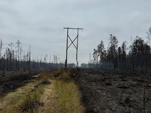Лесной пожар в Якутии повредил ЛЭП «Харбала — Тербяс»
