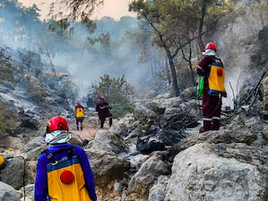 Сотрудники «Аккую Нуклеар» помогли потушить лесной пожар в районе Силифке