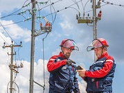 «Брянскэнерго» установит 12 новых вводов и 256 опорно-стержневых изоляторов на подстанциях 35 кВ