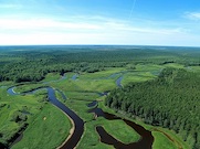 Объем «зеленых» инвестиций «Роснефти» в 2024 году достиг 74 млрд рублей