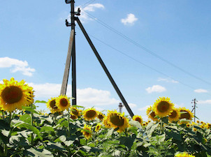 «Усть-Лабинские электрические сети» отремонтировали 40 км ЛЭП в центральных районах Кубани