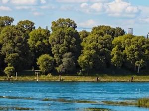 Работу водохранилищ на Волге и Каме в летне-осеннюю межень обсудили в Росводресурсах