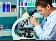 «Живые» батарейки станут мощнее