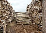 Аварийный запас материалов пополняет «Мордовэнерго»