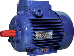 «Атомные» двигатели «Сибэлектромотора» испытают в Европе