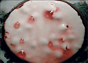 ТНК-ВР запускает на Увате пилотный проект по утилизации бурового шлама