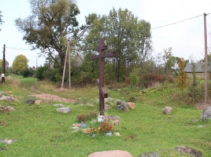 Работники Северных электрических сетей Псковэнерго перенесли трассу ЛЭП в деревне Митковицы