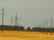 «МРСК Юга» присоединит к сетям крупный мясоперерабатывающий комплекс в Калмыкии