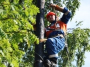 «Архэнерго» выполняет ремонты на электросетях с опережением плана