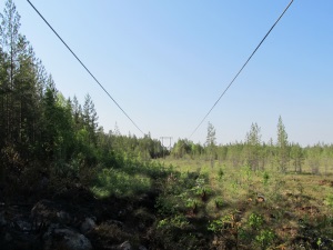 «Карелэнерго» восстановило работу линии электропередачи Л-60-С