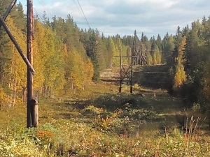 Ремонт проблемных линий электропередачи в Карелии будет проведен в плановом порядке