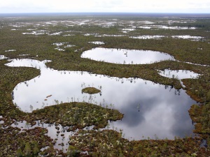 «Газпром нефть» выиграла конкурс на Новочатылькинский участок недр в ЯНАО