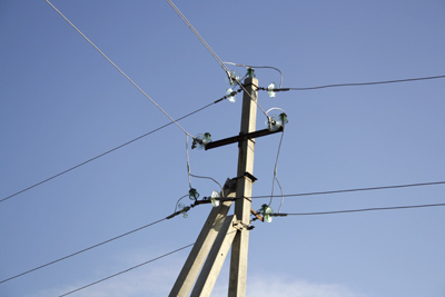 Калужанам пора заняться просеками