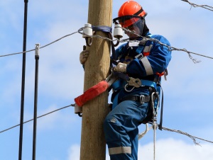 В Единый день голосования «черные лесорубы» погасили избирательный участок в Удорском районе Коми