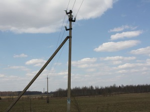 В Псковской области с начала года стали «жертвами» ДТП 113 опор ЛЭП и уличного освещения