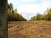 Западные электросети «Кировэнерго» за лето отремонтировали 405 км ВЛ