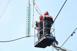 ФСК ЕЭС заменила более 7800 фарфоровых изоляторов на ЛЭП в Центральной России
