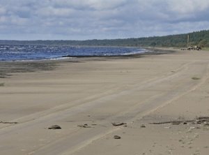 В Кургальском заказнике ведутся незаконные изыскательские работы по проекту Nord Stream 2