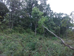 «Приморские электрические сети» восстановили поврежденную тайфуном ЛЭП в Лазовском районе