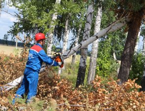 «Мордовэнерго» в 2016 году расчистит 515 га просек ЛЭП