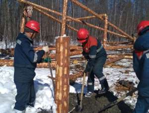 Сунтарский РЭС проводит капитальный ремонт ЛЭП в Западной Якутии