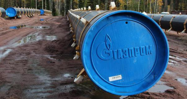 Nord Stream 2 AG разработает план управления Кургальским заказником в партнерстве с КБ Стрелка